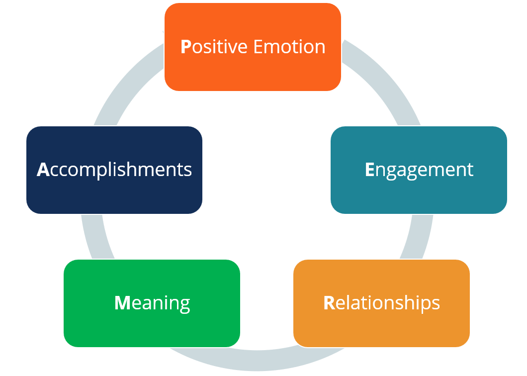 PERMA Theory at work